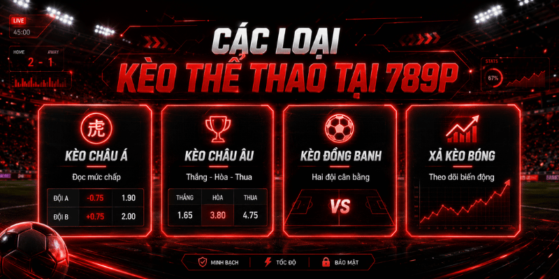 Thể Thao 789P – Cách Đọc Kèo, Chọn Kèo Và Theo Dõi Trận - Cavor