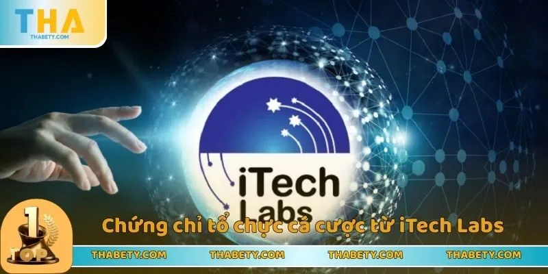 Giấy Phép Hoạt Động THABET - Lời Khẳng Định Về Chất Lượng - Cavor