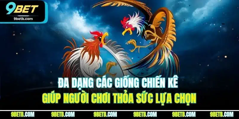 Đá Gà Thái Lan - Trải Nghiệm Cược Đầy Kịch Tính Tại 9BET - Cavor