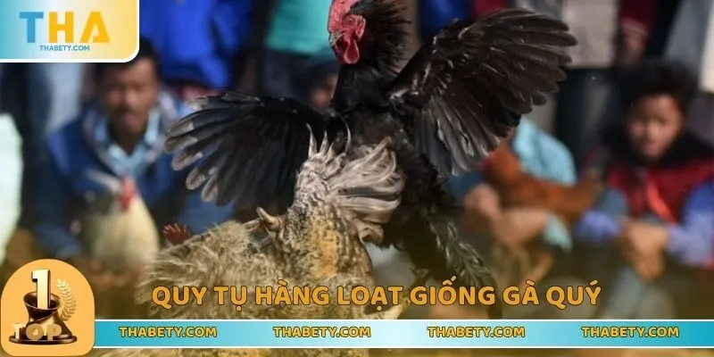 Đá Gà THABET - Trải Nghiệm Vui Chơi Đỉnh Cao, Nhận Lãi Lớn - Cavor