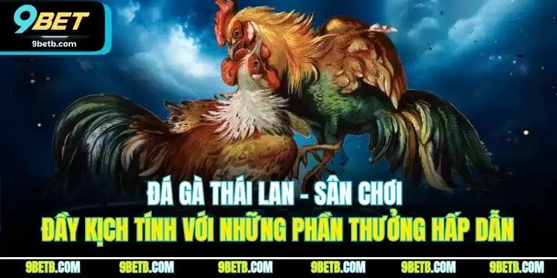 Đá Gà Thái Lan - Trải Nghiệm Cược Đầy Kịch Tính Tại 9BET - Cavor