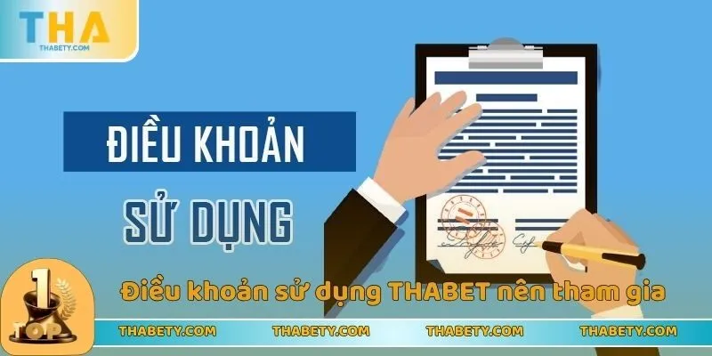 Điều Khoản Sử Dụng THABET Với Những Nội Dung Chi Tiết - Cavor