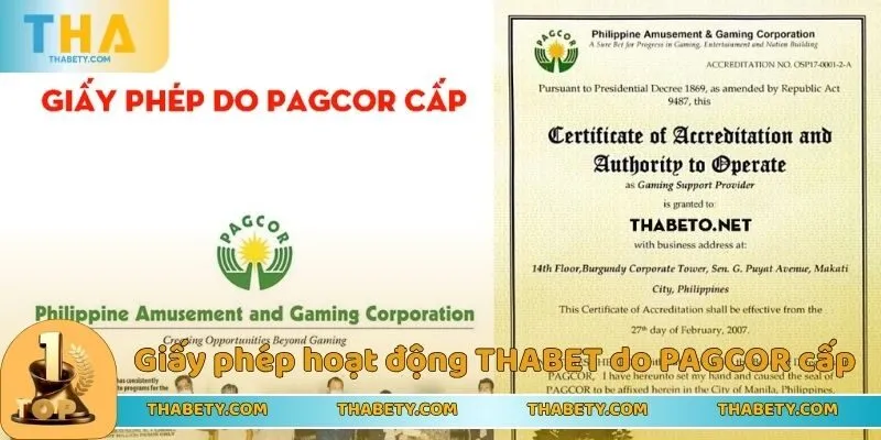 Giấy Phép Hoạt Động THABET - Lời Khẳng Định Về Chất Lượng - Cavor