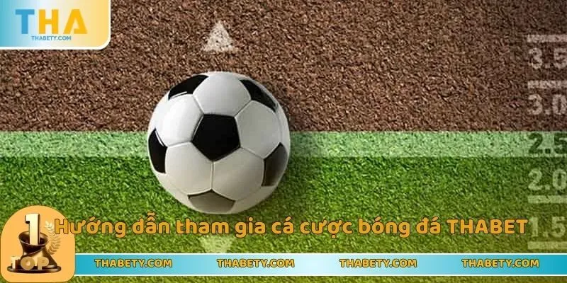 Chơi Cá Cược Bóng Đá Thabet Nhận Thưởng Siêu Ưu Đãi - Cavor