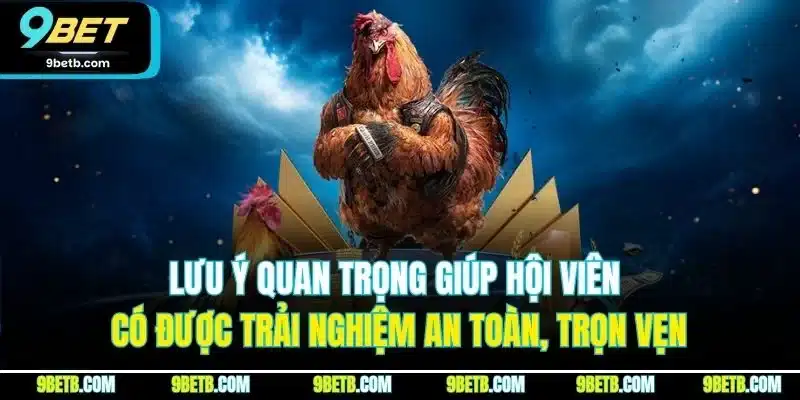 Đá Gà Thái Lan - Trải Nghiệm Cược Đầy Kịch Tính Tại 9BET - Cavor