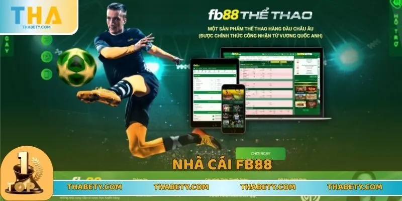 Top Nhà Cái Cá Cược 2026 Chất Lượng, Giải Trí Cực Mê - Cavor