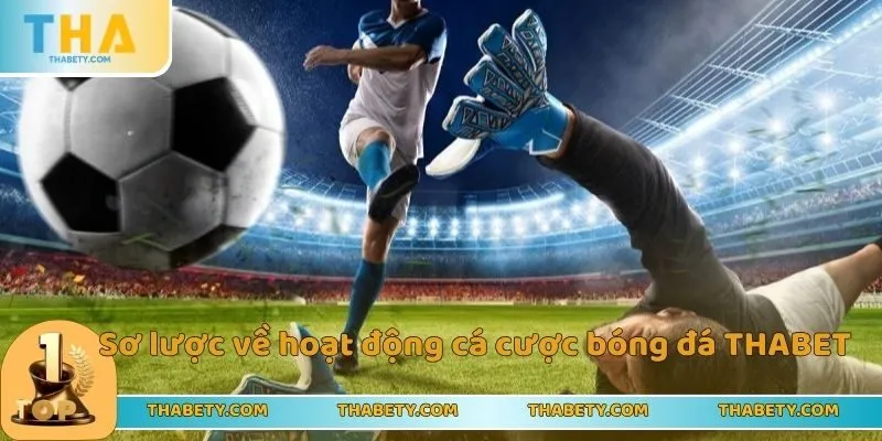 Chơi Cá Cược Bóng Đá Thabet Nhận Thưởng Siêu Ưu Đãi - Cavor