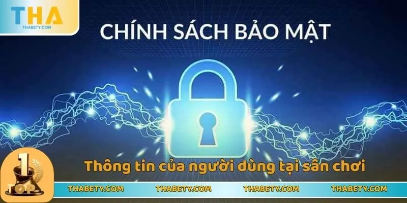 THABET Bảo Mật Thông Tin Với Các Quy Định Mới Nhất - Cavor