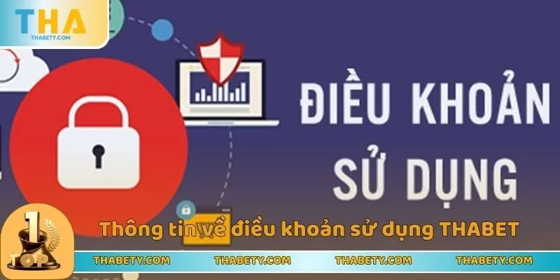 Điều Khoản Sử Dụng THABET Với Những Nội Dung Chi Tiết - Cavor