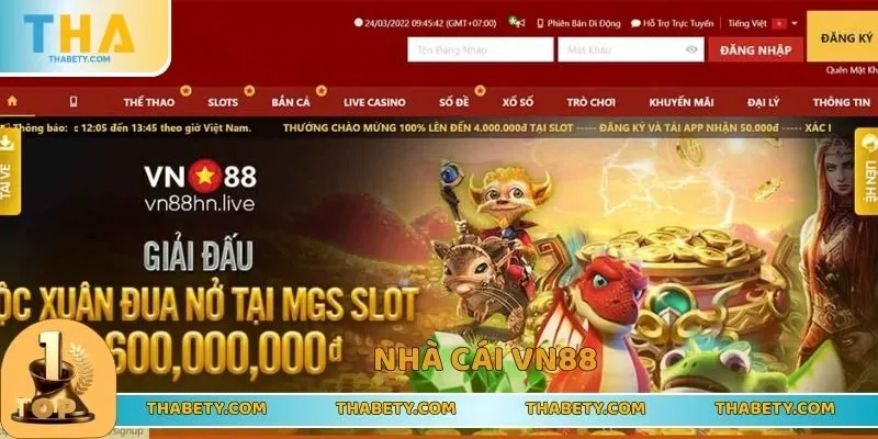 Top Nhà Cái Cá Cược 2026 Chất Lượng, Giải Trí Cực Mê - Cavor