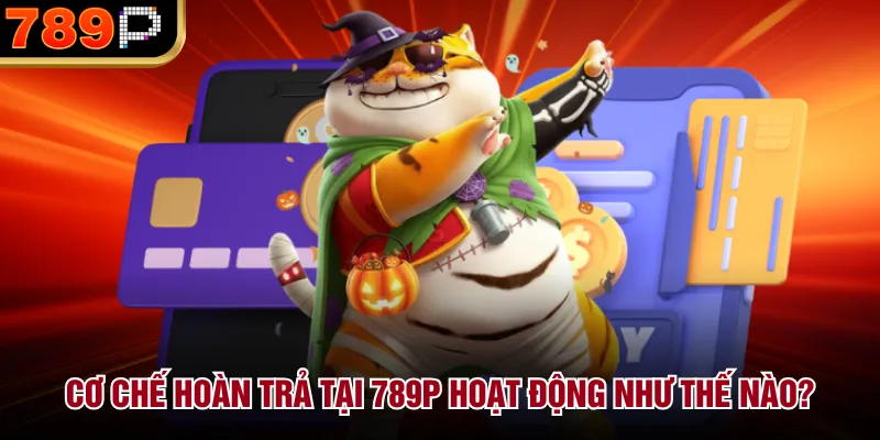 Hoàn Trả Tại 789p Hoạt Động Như Thế Nào Và Cách Nhận - Cavor Hoàn Trả Tại 789p Hoạt Động Như Thế Nào Và Cách Nhận - Cavor
