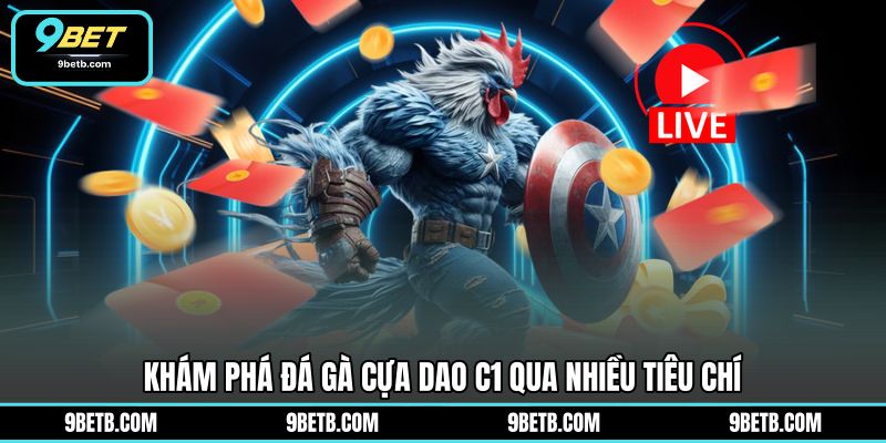 Đá Gà Cựa Dao C1 - Theo Dõi Trận Đấu Hấp Dẫn Tại 9BET - 9BET - Cavor