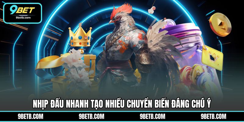Đá Gà Cựa Dao C1 - Theo Dõi Trận Đấu Hấp Dẫn Tại 9BET - 9BET - Cavor